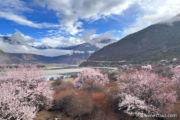 西藏跟團(tuán)大概需要多少錢(qián)